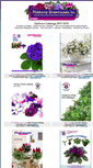Mobile Screenshot of catalog.optimara.com